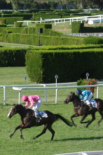Ippodromo di Merano Alto Adige