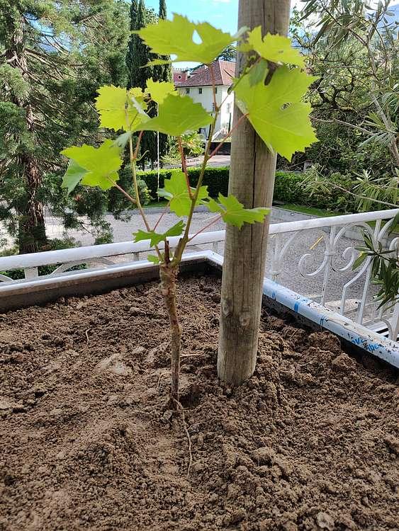 Spitzen-Lage im Hotel Adria Spitzen-Lage im Hotel Adria